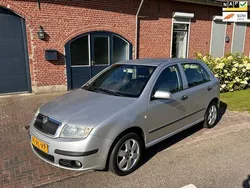 Grijs Gebruikt 2005 Skoda Fabia Elegance Hatchback | € 1.950 (Eerlijke prijs)