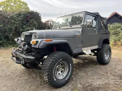 Grijs Gebruikt 1991 Jeep Wrangler SUV | € 14.999