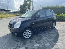 Zwart Gebruikt 2004 Kia Picanto Hatchback | € 1.400 (Iets duurder)