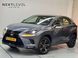 Grijs Gebruikt 2018 Lexus NX300h Luxury Line SUV | € 33.750 (Iets duurder)