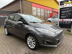 Grijs Gebruikt 2017 Ford Fiesta Titanium Hatchback | € 7.999 (Super prijs)