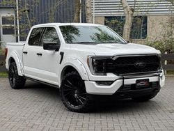 Wit (metallic) Gebruikt 2023 Ford F-150 Platinum Pickup | € 59.950