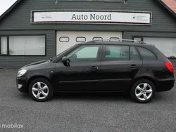 Zwart Gebruikt 2010 Skoda Fabia GreenLine Stationwagen | € 1.999 (Goede deal)
