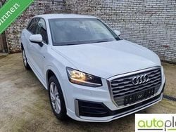 Wit Gebruikt 2019 Audi Q2 Sport SUV | € 19.450 (Goede deal)