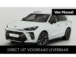 Wit Nieuw 2025 Cupra Terramar SUV | € 45.885