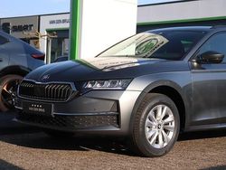 Grijs Nieuw 2025 Skoda Octavia Business Line Stationwagen | € 35.850 (Eerlijke prijs)