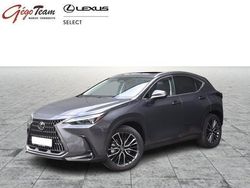 Grijs Gebruikt 2023 Lexus NX450h+ SUV | € 80.799