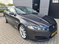 Grijs Gebruikt 2013 Jaguar XF Business Edition Sedan | € 11.500 (Duur)