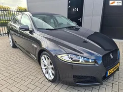 Grijs Gebruikt 2013 Jaguar XF Business Edition Sedan | € 11.500 (Iets duurder)