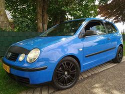Blauw Gebruikt 2002 VW Polo Sportline Hatchback | € 1.299 (Eerlijke prijs)