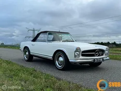 Wit Gebruikt 1966 Mercedes 250 Cabriolet | € 59.900