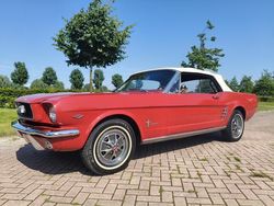 Rood Gebruikt 1966 Ford Mustang Convertible Cabriolet | € 39.500