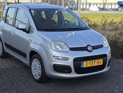 Grijs Gebruikt 2014 Fiat Panda Hatchback | € 3.800 (Goede deal)