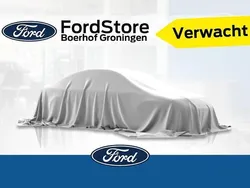 Wit Gebruikt 2019 Ford Fiesta Hatchback | € 11.950 (Eerlijke prijs)