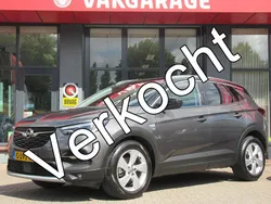 Grijs Gebruikt 2019 Opel Grandland X Edition SUV | € 17.750 (Eerlijke prijs)