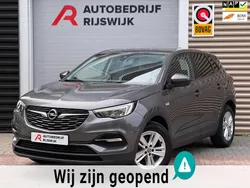Grijs Gebruikt 2020 Opel Grandland X Business Edition SUV | € 14.950 (Goede deal)