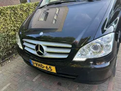Mercedes Viano
