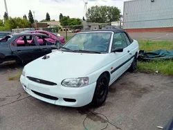 Wit Gebruikt 1997 Ford Escort Cabriolet Cabriolet | € 1.500