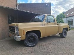Bruin Gebruikt 1979 Chevrolet C10 Pickup | € 16.500