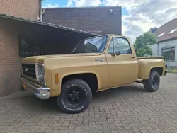 Bruin Gebruikt 1979 Chevrolet C10 Van | € 17.400