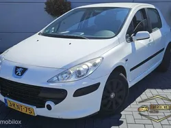 Wit Gebruikt 2005 Peugeot 307 Hatchback | € 999 (Iets duurder)