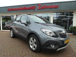 Grijs (metallic) Gebruikt 2015 Opel Mokka Cosmo SUV | € 12.950 (Iets duurder)