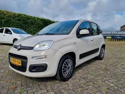 Bruin Gebruikt 2014 Fiat Panda Hatchback | € 3.995 (Goede deal)
