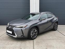 Gebruikt 2019 Lexus UX 300e Executive Line SUV | € 25.999