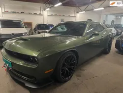 Groen Gebruikt 2021 Dodge Challenger SXT Coupé | € 57.500