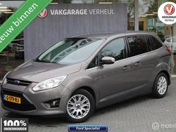 Grijs Gebruikt 2014 Ford Grand C-Max Ambiente MPV | € 7.895 (Iets duurder)