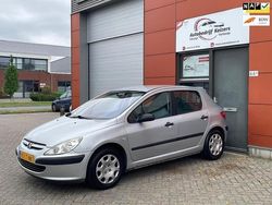 Grijs Gebruikt 2003 Peugeot 307 Hatchback | € 1.499 (Eerlijke prijs)