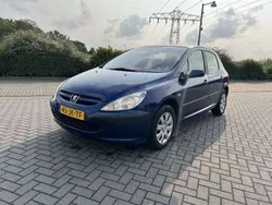 Blauw Gebruikt 2002 Peugeot 307 Hatchback | € 1.199 (Eerlijke prijs)