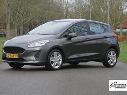 Grijs Gebruikt 2019 Ford Fiesta Trend Hatchback | € 11.995 (Goede deal)