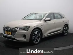 Geel Gebruikt 2020 Audi e-tron Business SUV | € 23.950 (Super prijs)
