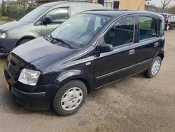 Zwart Gebruikt 2011 Fiat Panda Active Hatchback | € 3.350 (Iets duurder)