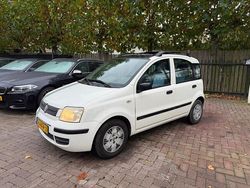 Wit Gebruikt 2008 Fiat Panda Hatchback | € 2.890 (Eerlijke prijs)
