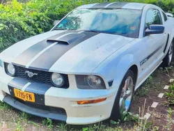 Gebruikt 2007 Ford Mustang GT Coupé | € 16.000