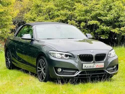 Grijs, metallic lak Gebruikt 2020 BMW 230 Executive Cabriolet | € 29.920