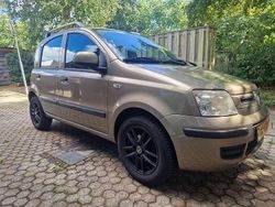 Goud Gebruikt 2011 Fiat Panda Hatchback | € 2.950 (Eerlijke prijs)