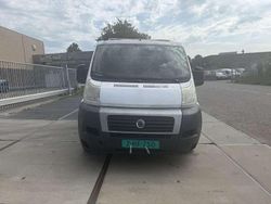 Wit Gebruikt 2010 Fiat Ducato Van | € 4.499