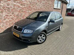 Grijs Gebruikt 2007 Skoda Fabia Elegance Hatchback | € 3.750