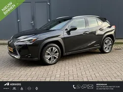 Lexus UX 300e