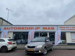 Beige Gebruikt 2008 Skoda Fabia Elegance Stationwagen | € 4.750 (Iets duurder)