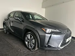 Grijs Nieuw 2025 Lexus UX 300e Business Edition SUV | € 33.950