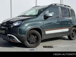 Groen Gebruikt 2023 Fiat Panda Cross Cross Hatchback | € 16.945 (Eerlijke prijs)