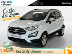 Wit Gebruikt 2019 Ford Ecosport Trend SUV | € 11.935 (Eerlijke prijs)