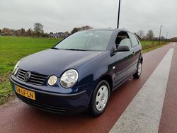 Gebruikt 2002 VW Polo | € 1.250 (Eerlijke prijs)