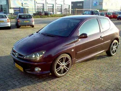 Paars Gebruikt 2003 Peugeot 206 Hatchback | € 1.250