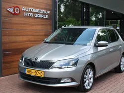 Grijs Gebruikt 2016 Skoda Fabia Ambition Hatchback | € 8.995 (Eerlijke prijs)