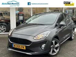Grijs Gebruikt 2019 Ford Fiesta Active Hatchback | € 12.999 (Eerlijke prijs)